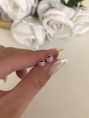 ari518plata