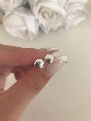 ari536plata