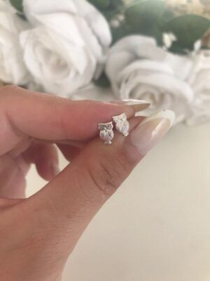 Ari537Plata