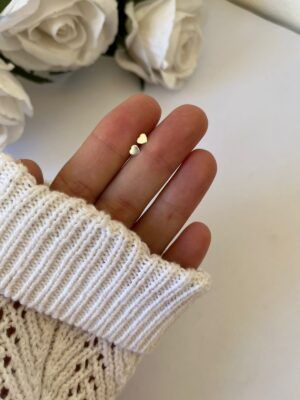 ab5039plata