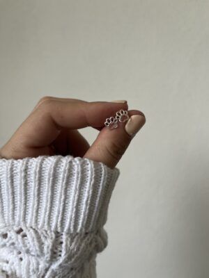 Ab5029plata