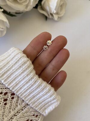 Ab5042plata