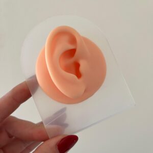 OREJA EXHIBIDORA