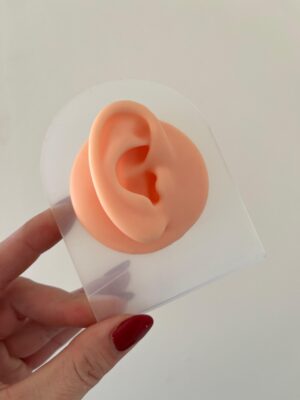 OREJA EXHIBIDORA