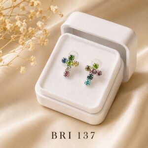 BRI137